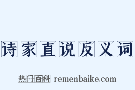 诗家直说反义词是什么意思的图片